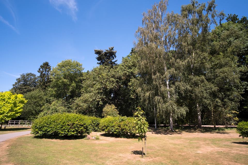 37825139_1878308495796037_8338043727981314048_n.jpg 37825139_1878308495796037_8338043727981314048_n.jpg